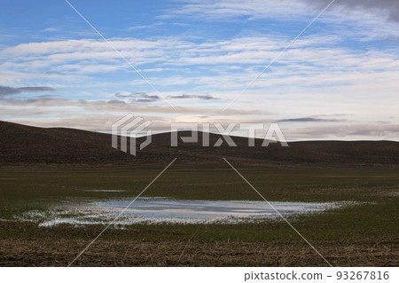 Clear weather and field scenery Clear weather and field scenery 93267816