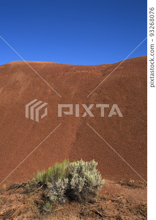 Red dirt hills and dry grass Red dirt hills and dry grass 93268076