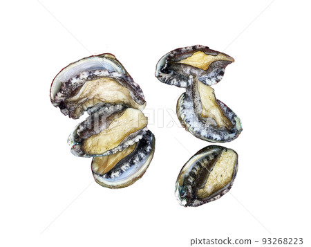Abalone, Seafood, Nuki 93268223