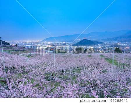 山梨縣笛吹市 93268641
