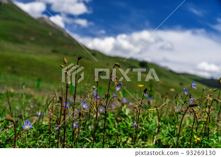 Scenery (China, Baonbu Luke) 93269130