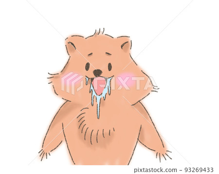 hungry quokka wallaby hungry quokka wallaby 93269433