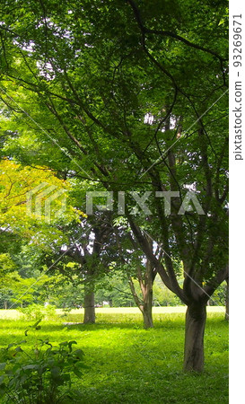 活潑的果嶺 93269671