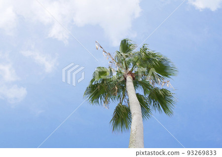 夏日的天空 夏日的天空 93269833