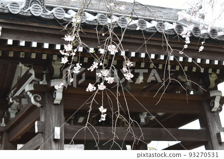 Manshoji Temple