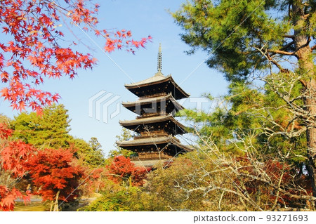 Ninna-ji Temple of autumn leaves 93271693
