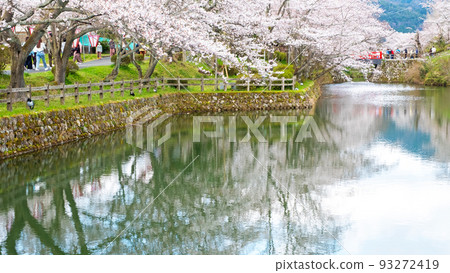 Spring scenery of Shikano Castle Ruins Park 93272419