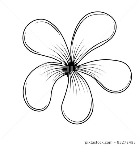 Plumeria is a tropical flower. Vector stock illustration. Frangipani, jasmine. Isolated on a white background. Plumeria is a tropical flower. Vector stock illustration. Frangipani, jasmine. Isolated on a white background. 93272483