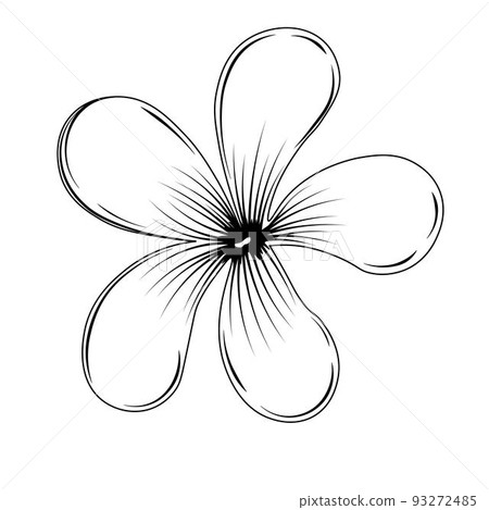 Plumeria is a tropical flower. Vector stock illustration. Frangipani, jasmine. Isolated on a white background. Plumeria is a tropical flower. Vector stock illustration. Frangipani, jasmine. Isolated on a white background. 93272485
