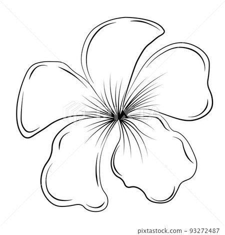 Plumeria is a tropical flower. Vector stock illustration. Frangipani, jasmine. Isolated on a white background. Plumeria is a tropical flower. Vector stock illustration. Frangipani, jasmine. Isolated on a white background. 93272487