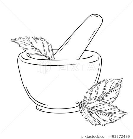 Herbs in a mortar vector stock illustration. Mint leaves. Isolated on a white background. Aromatherapy. Cooking spices in cooking. Natural cosmetics. Herbs in a mortar vector stock illustration. Mint leaves. Isolated on a white background. Aromatherapy. Cooking spices in cooking. Natural cosmetics. 93272489