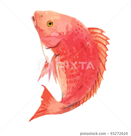 Hand-painted auspicious sea bream Hand-painted auspicious sea bream 93272620