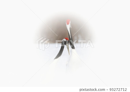 一對好夫妻的丹頂鶴 93272712