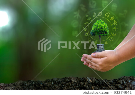 Renewable energy concept Earth Day or environment protection Hands protect forests that grow on the ground and help save the world. 93274941