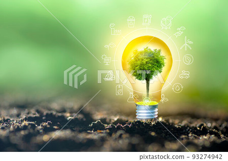 Renewable energy concept Earth Day or environment protection Hands protect forests that grow on the ground and help save the world. 93274942