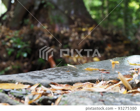 世界遺產熊野古道參拜石階 93275380