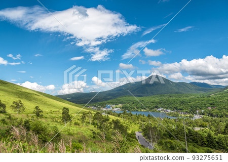 Scenery from the Venus Line in Nagano Prefecture, Mt. Tateshina, blue sky and white clouds [August] 93275651