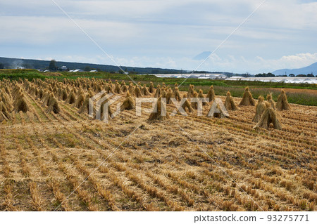 長野縣八岳迴聲線的富士山 93275771