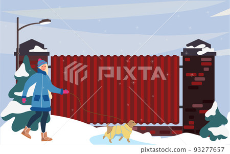 Winter weather. A young woman walks a dog. A walk on the street Winter weather. A young woman walks a dog. A walk on the street 93277657