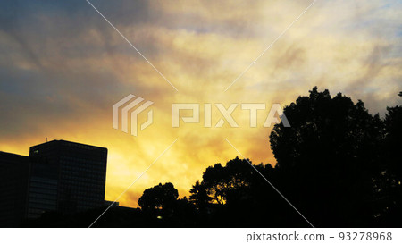 Scenery of Hibiya Park at dusk 93278968