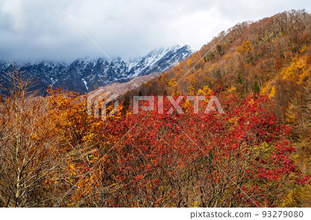 Autumn leaves and fresh snow on the south wall of Mt. Daisen Autumn leaves and fresh snow on the south wall of Mt. Daisen 93279080