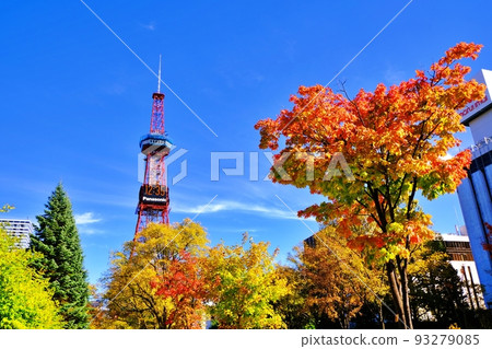 Autumn leaves and Sapporo TV Tower in Odori Park, Sapporo Autumn leaves and Sapporo TV Tower in Odori Park, Sapporo 93279085