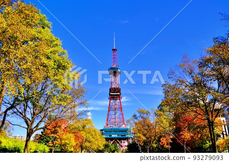 Autumn leaves and Sapporo TV Tower in Odori Park, Sapporo Autumn leaves and Sapporo TV Tower in Odori Park, Sapporo 93279093