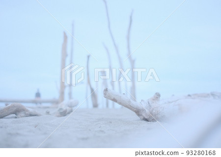 漂流木 漂流木 93280168
