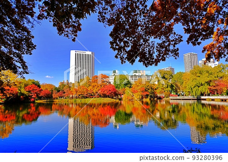 Autumn leaves in Nakajima Park, Sapporo 93280396