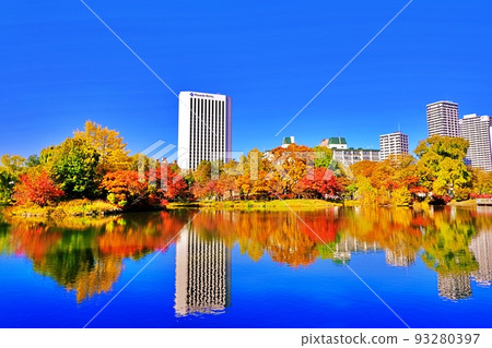 Autumn leaves in Nakajima Park, Sapporo Autumn leaves in Nakajima Park, Sapporo 93280397