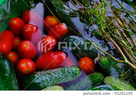 The cucumbers, tomatoes, and dill are ready for pickling once they have been picked. 93281285