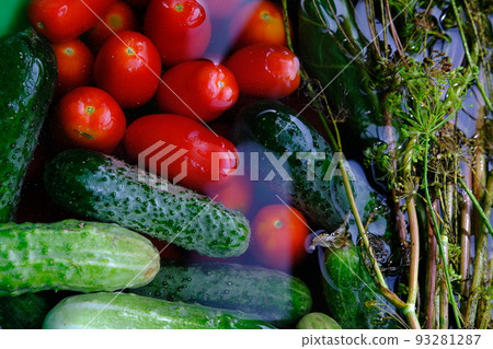 The cucumbers, tomatoes, and dill are ready for pickling once they have been picked. 93281287
