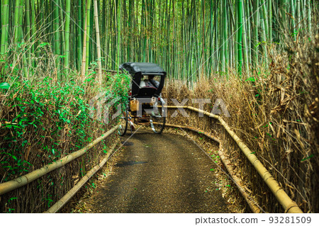京都Sagano竹林道 93281509