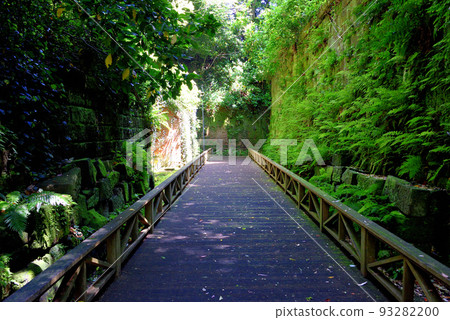 Image of wooden path highlighting uninhabited island Sarushima (from high point) Yokosuka City, Kanagawa Prefecture Image of wooden path highlighting uninhabited island Sarushima (from high point) Yokosuka City, Kanagawa Prefecture 93282200