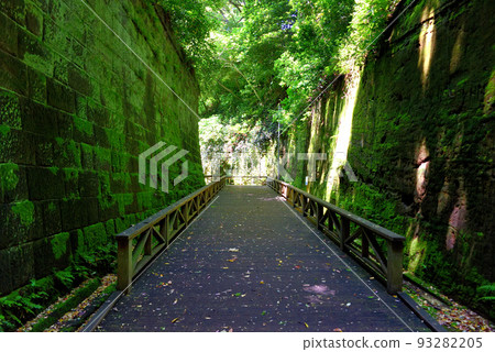 神奈川縣橫須賀市,無人島,木棧道的終點,通往隧道的木棧道(從隧道一側) 神奈川縣橫須賀市,無人島,木棧道的終點,通往隧道的木棧道(從隧道一側) 93282205
