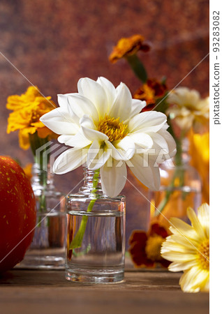 Autumn still life with white Dahlia flower, pumpkins and orange leaves. Fresh garden flowers in glass vase. Abstract Autumn scene concept. Autumn still life with white Dahlia flower, pumpkins and orange leaves. Fresh garden flowers in glass vase. Abstract Autumn scene concept. 93283082