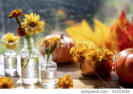 Autumn still life with flowers and orange leaves. Orange flwoers in glass vases. Abstract Autumn scene concept. 93283084
