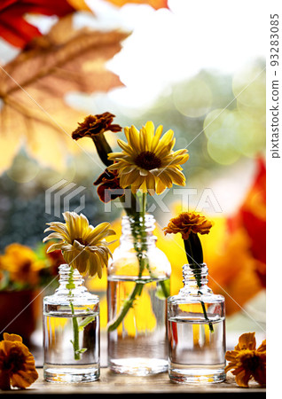 Autumn still life with flowers and orange leaves. Orange flwoers in glass vases. Abstract Autumn scene concept. 93283085