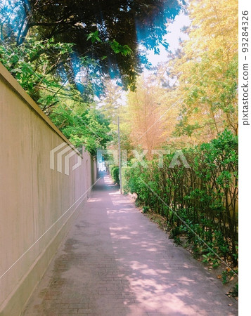 A path leading to the sea of Hayama 93284326