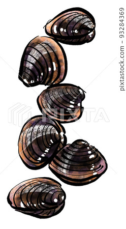 “蛤”的手繪插圖（毛筆書寫風格） 93284369