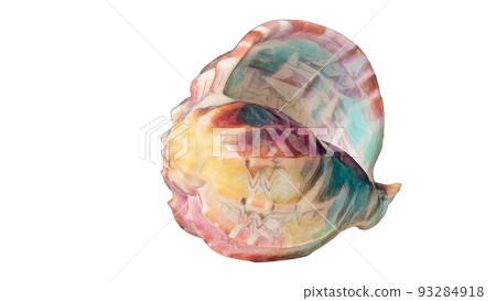 Watercolor rainbow seashell pen ink sketch on white background, clipping path. High quality illustration Watercolor rainbow seashell pen ink sketch on white background, clipping path. High quality illustration 93284918