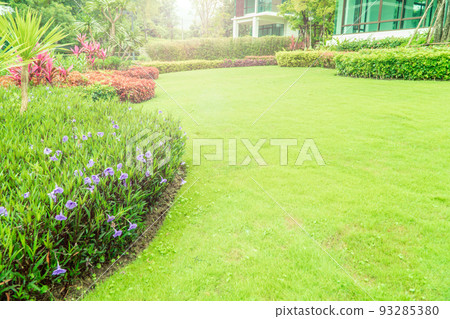 The sunshine in the evening shines through the trees down to the lawn of the front of the house beautifully, green lawn, front lawn for the background, designed a beautiful shady landscape garden. The sunshine in the evening shines through the trees down to the lawn of the front of the house beautifully, green lawn, front lawn for the background, designed a beautiful shady landscape garden. 93285380