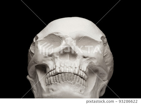 image of skull dark background 93286622