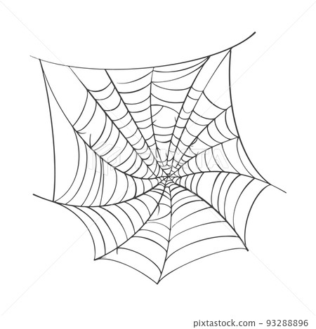 Vector Spider web on white 93288896