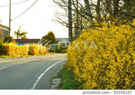 Shiunji連翹高速公路（新潟縣） 93289187