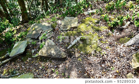 Sarcophagus of Asahiyama Kofun behind Hekireki Shrine in Tsushima 93289310