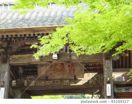 Fresh green of Shuzenji Fresh green of Shuzenji 93289327