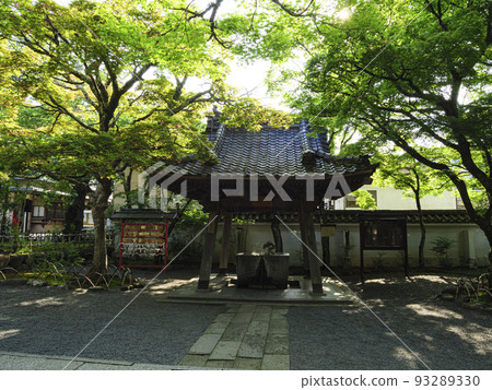 Fresh green of Shuzenji 93289330