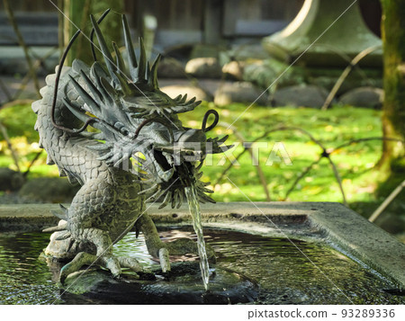 修善寺的新綠 修善寺的新綠 93289336