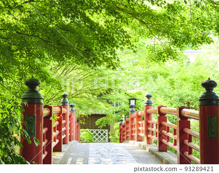 修善寺的新綠 93289421